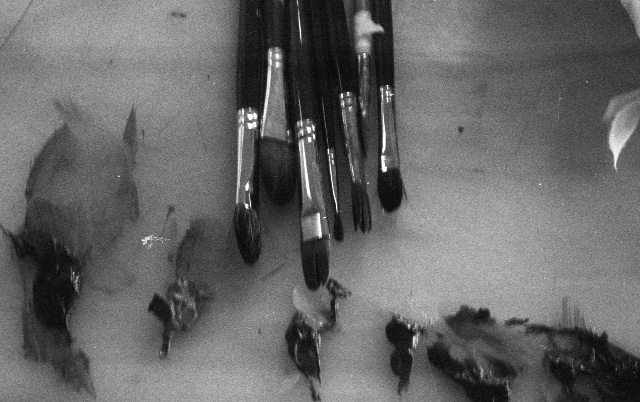 Elizabeth ferguson hi-res stock photography and images - Page 4 - Alamy, image size:2213x1392