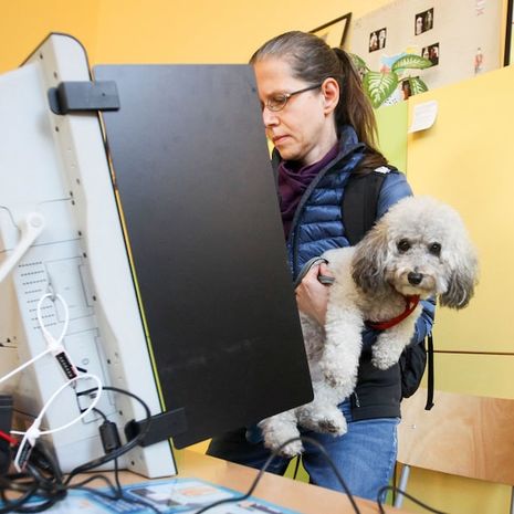 A voter with her dog casts a ballot at a polling station in Sofia during Bulgaria's parliamentary elections on Oct. 2.