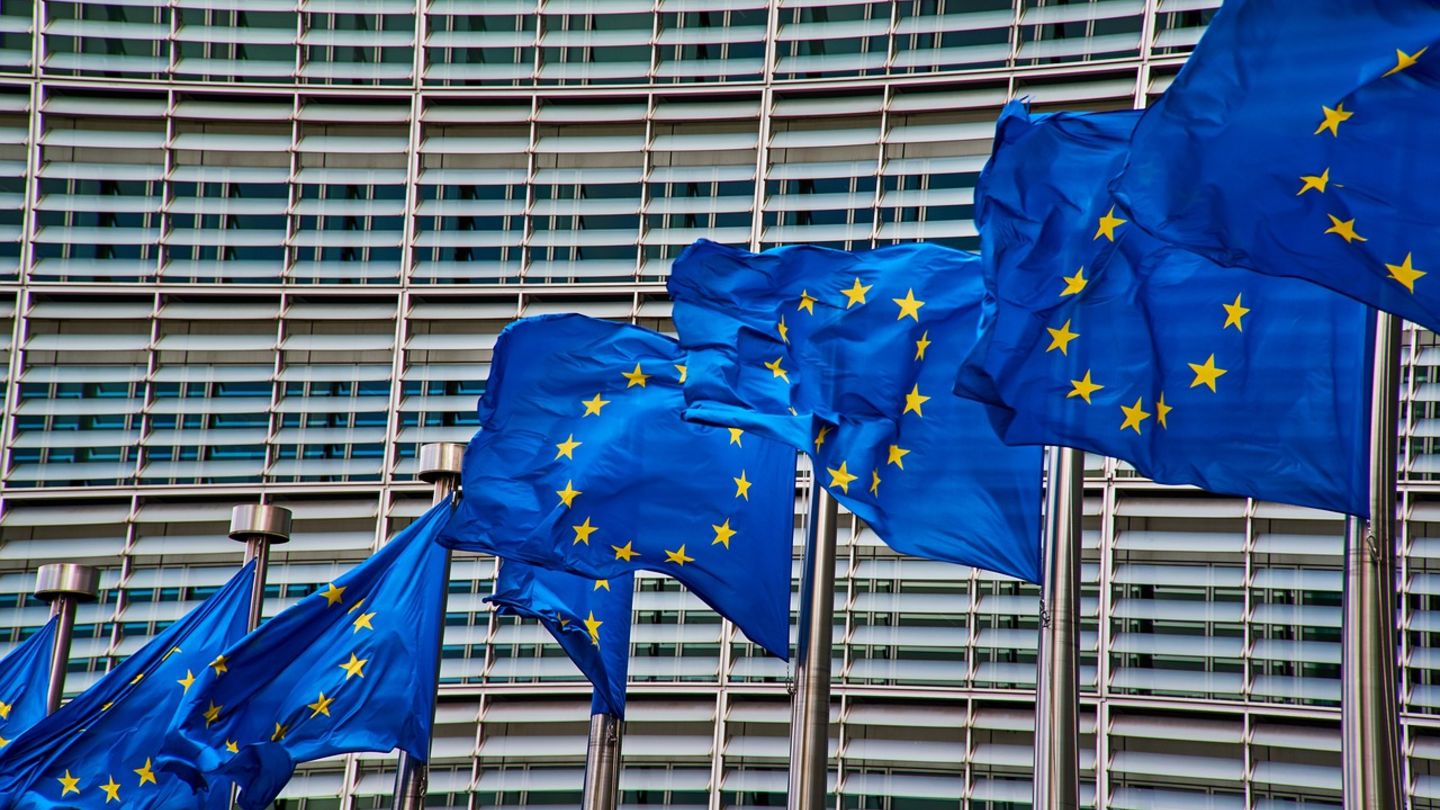 European Union flags in a line