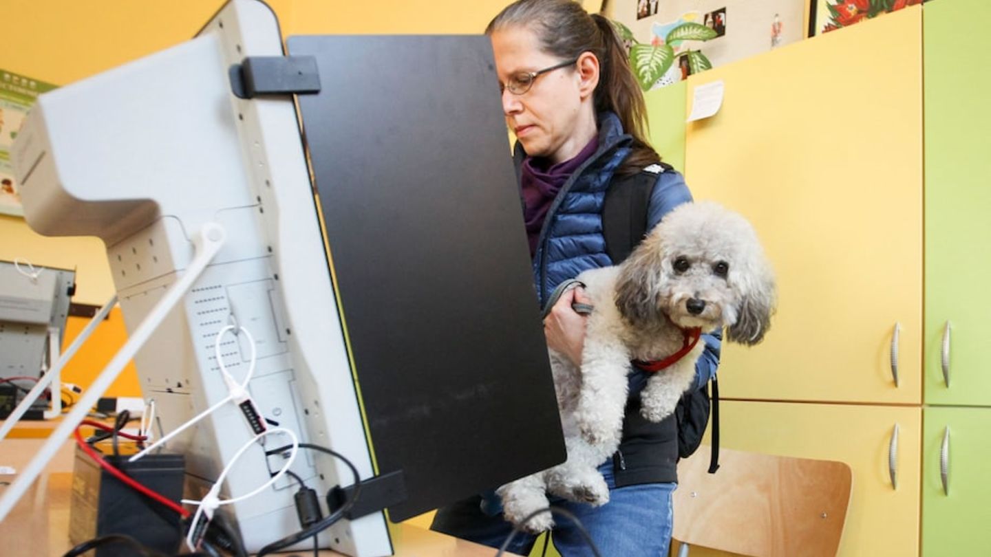 Dean Emilia Zankina's Analysis of the Bulgarian Elections Temple